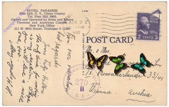 New York: Hotel Paradise, Pine Hill