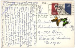 ak157665a New York: Lafayette Square Downtown, Buffalo