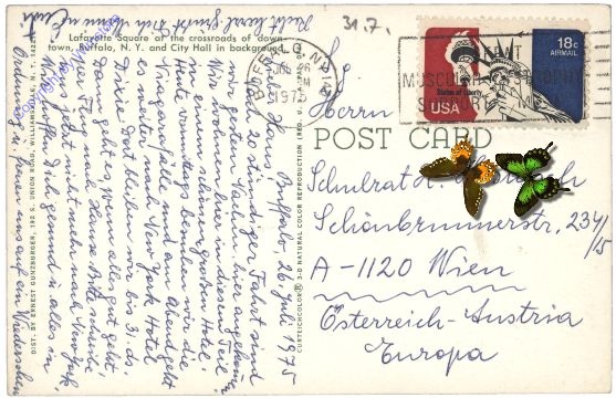 ak157665a New York: Lafayette Square Downtown, Buffalo