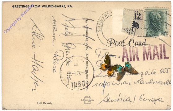ak157721a Pennsylvania: Greetings from Wilkes-Barre