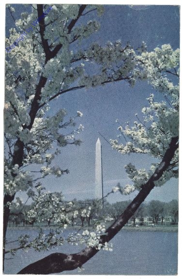 ak157749 Washington, D.C.: The Washington Monument
