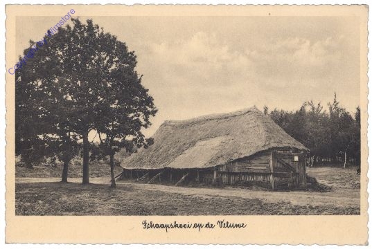 Allgemein, Schaapskooi