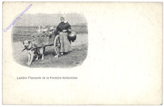 Allgemein, Laitiere Flamande de la frontiere hollandaise