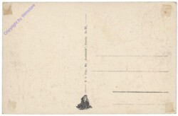 Alkmaar, Langestraat