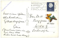 Amerongen, Pomp op de Hof