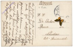 Berg en Dal, Mool Nederland