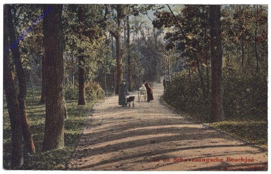 Den Haag, In de Scheveningsche Boschjes