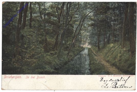 Driebergen, In het Bosch