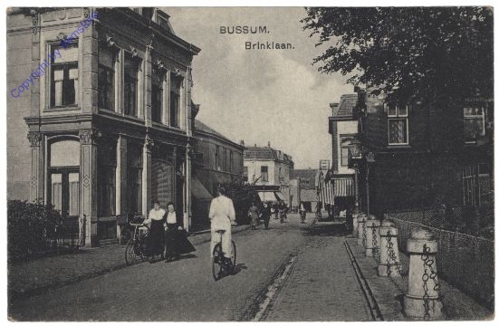 Gooise Meren, Bussum, Brinklaan
