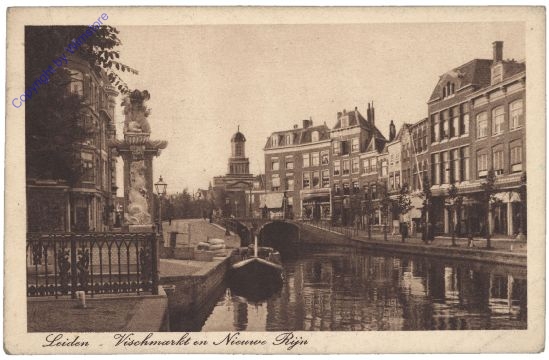Leiden, Vischmarkt en Nieuwe Rijn