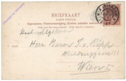 Lisse, Hyacinthenvelden