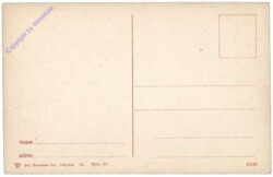 Lisse, Hyacinthenvelden