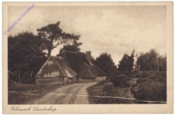 Nunspeet, Veluwsch Landschap