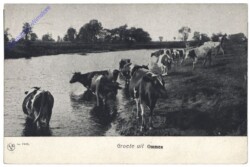 ak158757 Ommen, Groete