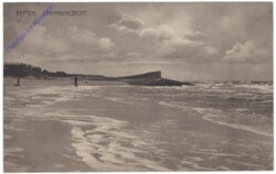 Petten, Strandgezicht