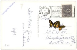 Rotterdam, Multiansicht