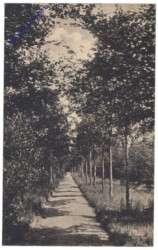 S'-Hertogenbosch, Den Imbosch