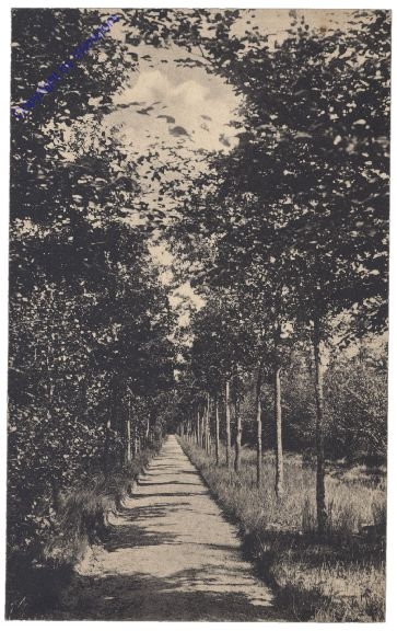 S'-Hertogenbosch, Den Imbosch