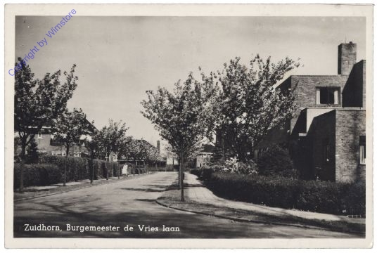 Zuidhorn, Burgemeester de Vries laan