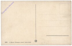 ak159063a Allgemein, Alphornbläser