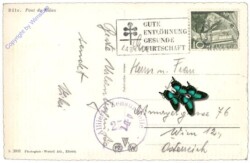 Basel, Mittlere Rheinbrücke