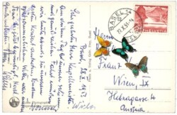 ak159131a Basel, Rathaus und Martinskirche