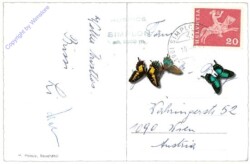 ak159215a Brig-Glis, und Simplonstrasse