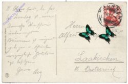 Brunnen, Die Hotels am Quai