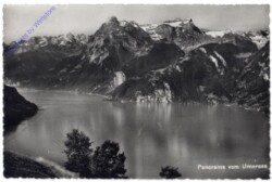 ak159219 Brunnen, Panorama von Urnersee