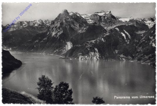 Brunnen, Panorama von Urnersee