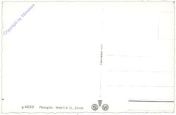 Brunnen, Axenstrasse bei Brunnen am Vierwaldstättersee mit Urirotstock