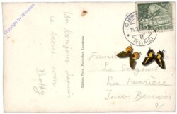 Champex-Lac, Ansicht