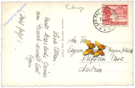 Chatel-Saint-Denis, Ansicht