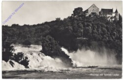 Dachsen, Rheinfall mit Schloß Laufen