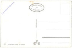 Dachsen, Rheinfall mit Schloß Laufen