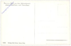 Davos, Blick aus dem Schatzalpwald