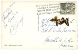 Genf, Pont du Mont Blanc