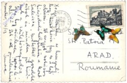 ak159436a Genf, Le Lac Leman