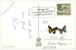 ak159440a Genf, Le Palais des Nations-Unies