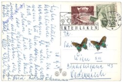 Grindelwald, Die Jungfrau