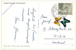 ak159489a Grindelwald, Chalet Caprice