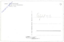 Grindelwald, Ansicht