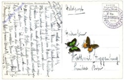 ak159494a Grindelwald, Schreckhorn, Finsteraarhorn