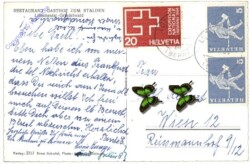 Grindelwald, Restaurant Gasthof zum Stalden