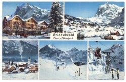 ak159500 Grindelwald, Multiansicht