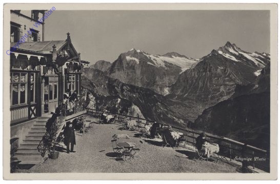 Gündlischwand, Schynige Platte