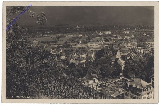 ak159518 Heerbrugg, Ortsansicht