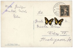 Interlaken, Die Jungfrau