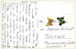 Interlaken, Jungfrau