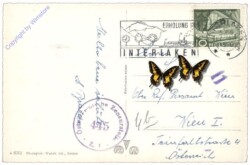 Interlaken, Die Jungfrau vom Höheweg aus gesehen